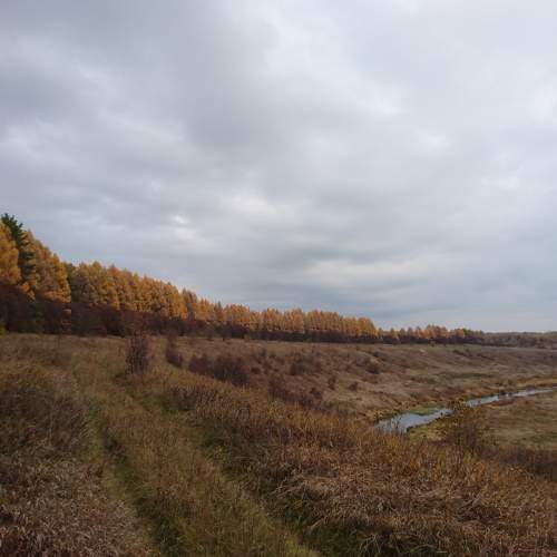 Photo #6812502