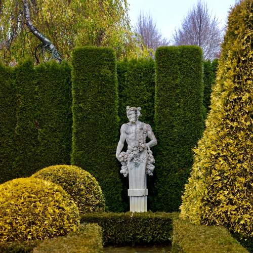Photo #6812547