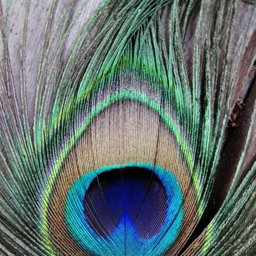 Photo #6812810