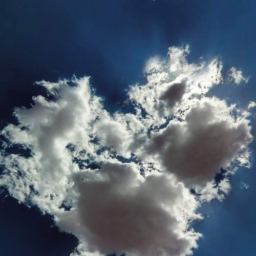 Photo #6813653