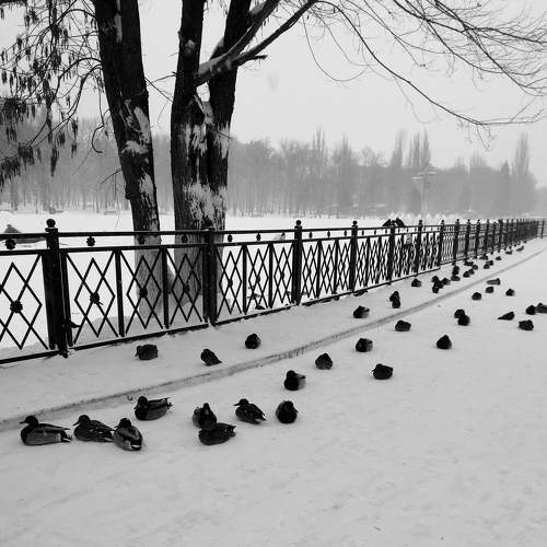 Photo #6813745