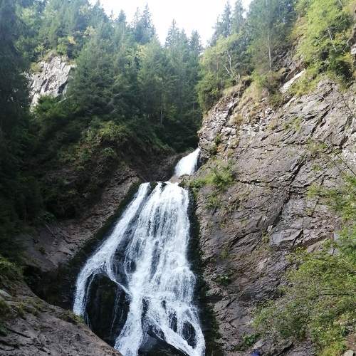 Photo #6814108