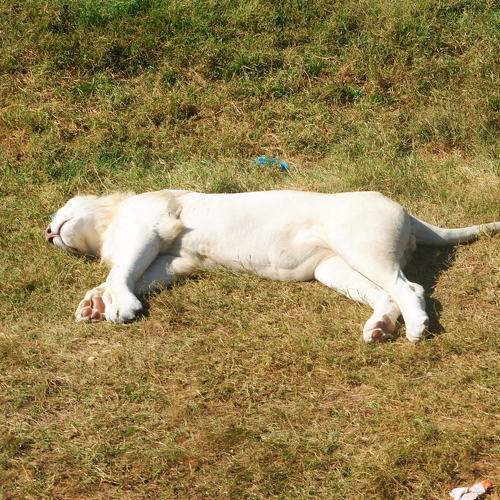 Photo #6814264