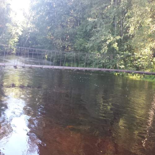 Photo #6814389