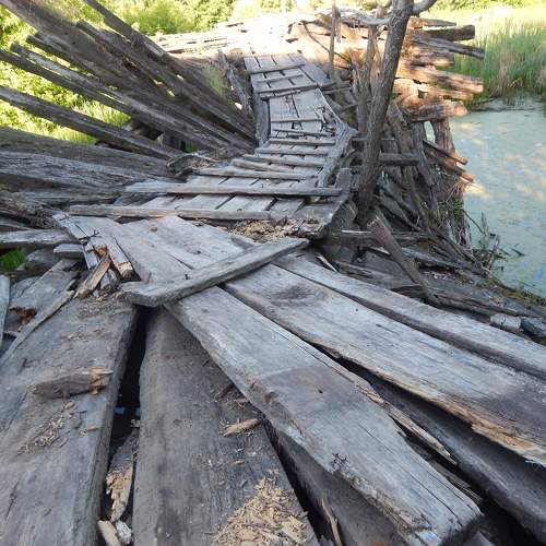 Photo #6814452