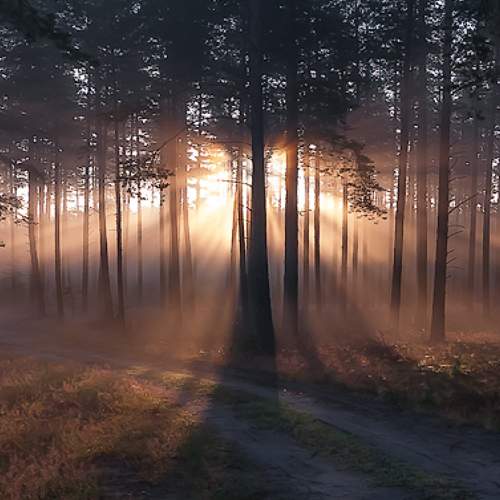 Photo #6814467