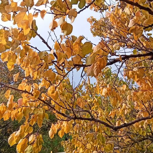 Photo #6814477
