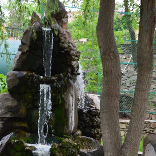 Photo #6814562