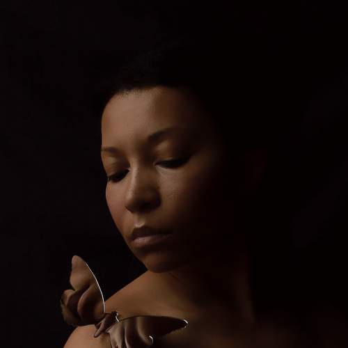 Photo #6814572