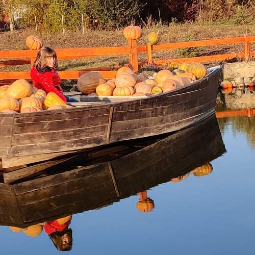 Photo #6814991