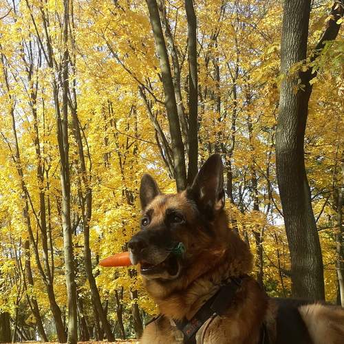 Photo #6815147