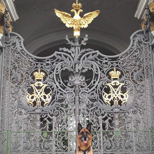 Photo #6815177