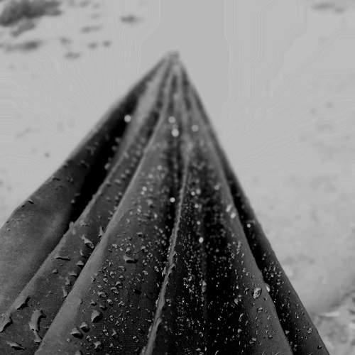 Black and white