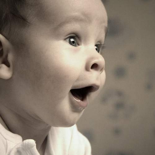 Photo #6815726