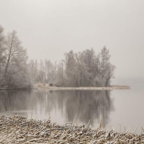 Photo #6815734