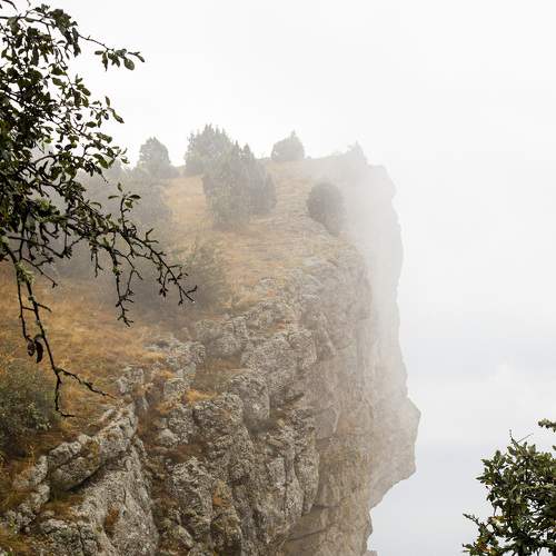 Photo #6815739