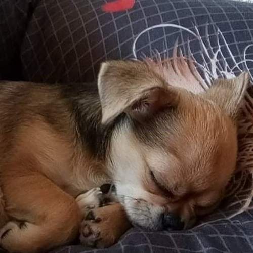 Photo #6815743