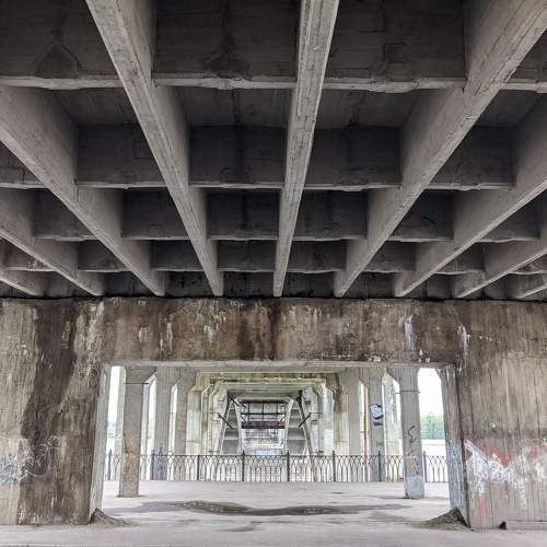 Photo #6815869