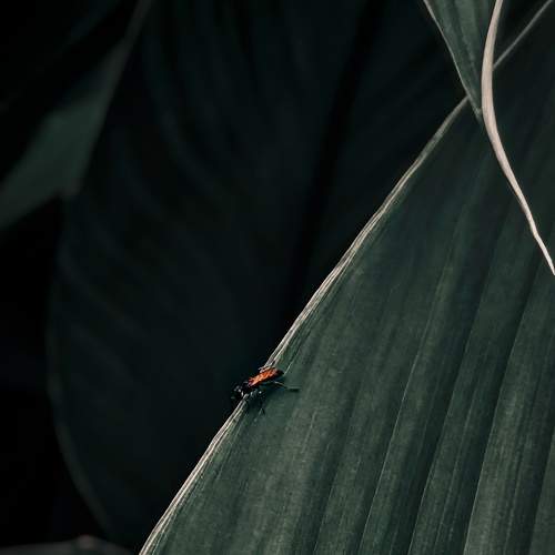 Photo #6815924