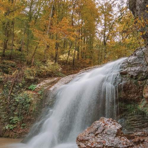 Photo #6816124