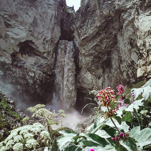 Photo #6816154