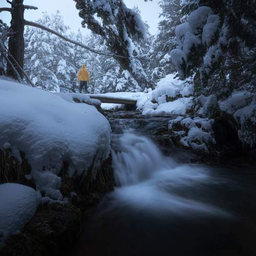 Фотография #6816240