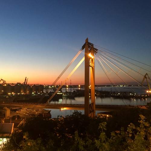 Photo #6816359