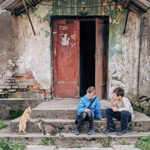 Photo #6816475