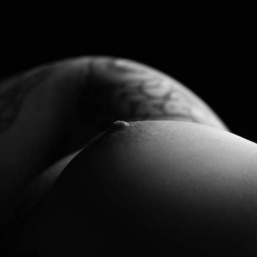 Photo #6816884