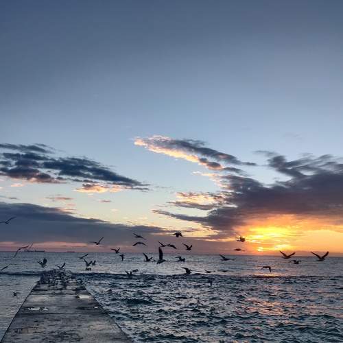 Photo #6817158