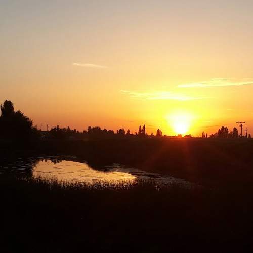Photo #6817256
