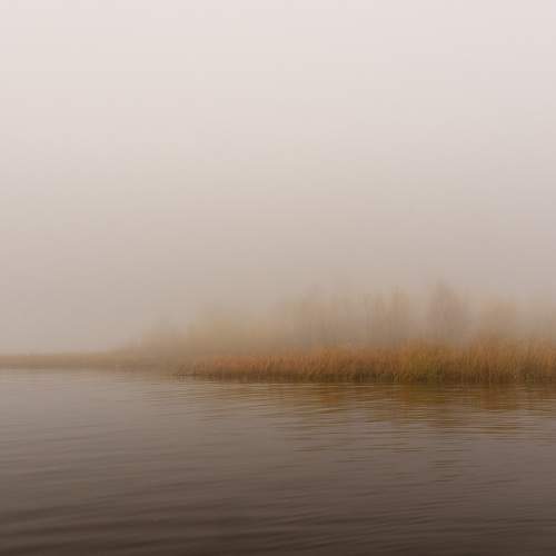 Photo #6817321