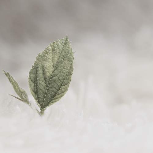 Photo #6817988
