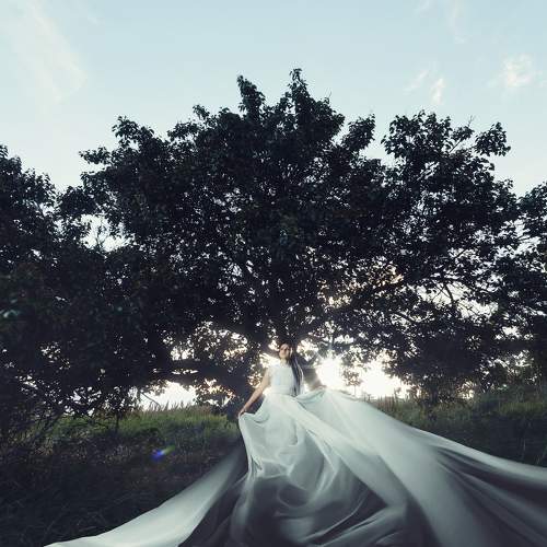 Photo #6818148