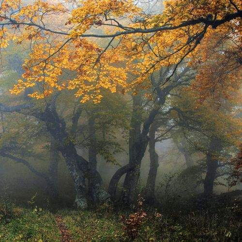 Photo #6819628