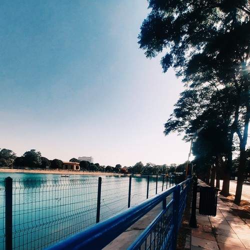 Photo #6819657