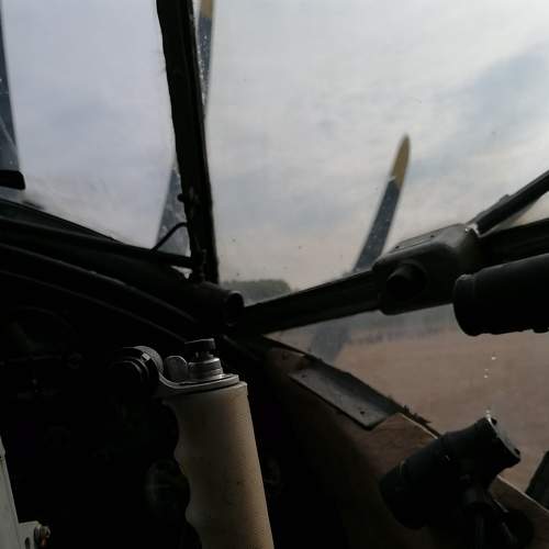 Photo #6820018