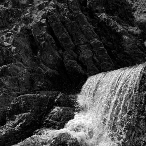 Photo #6820083