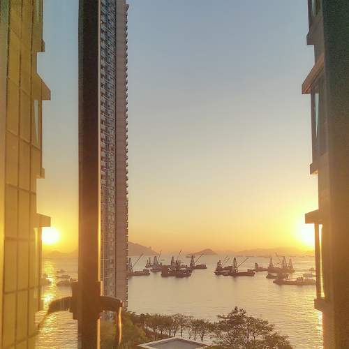 Photo #6820385
