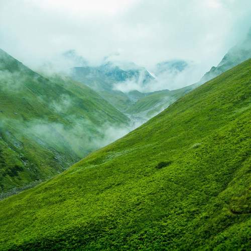 A Foggy green Valley
