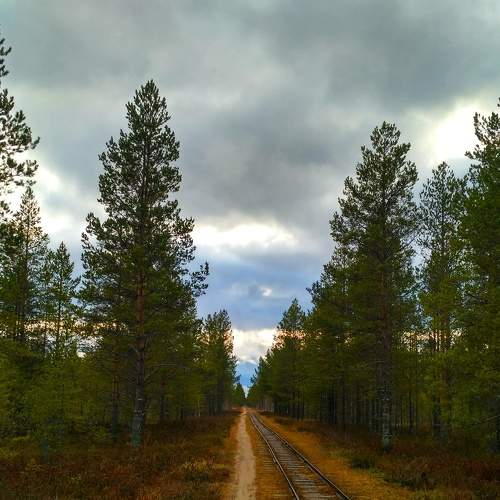 Photo #6820731