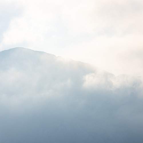 Photo #6820745