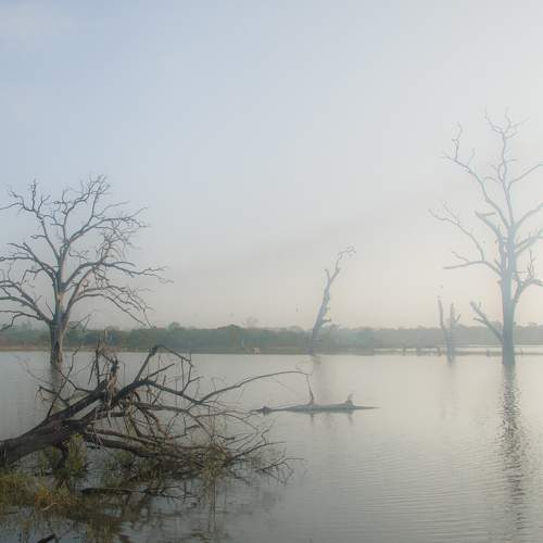 Photo #6820746