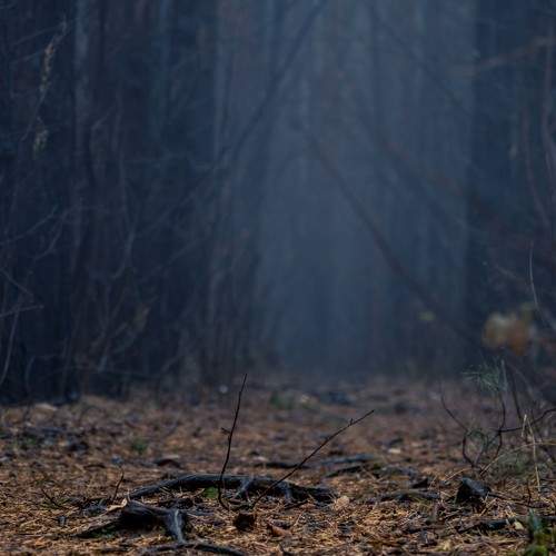 Photo #6820900