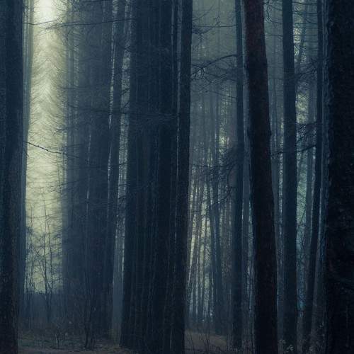 Photo #6820901