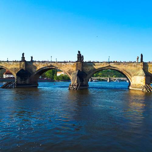 Photo #6820953