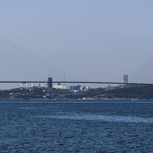 Photo #6820979