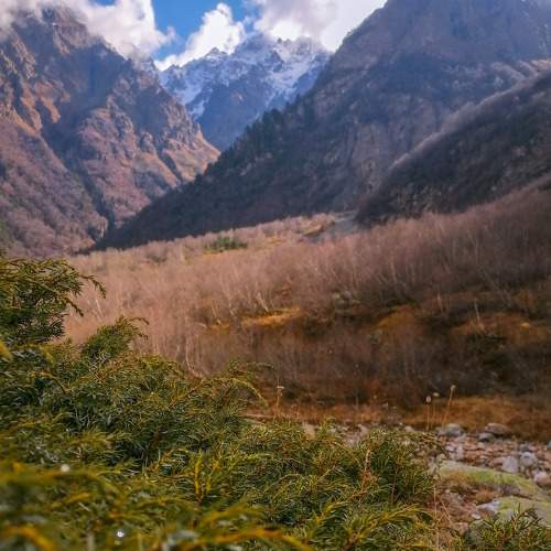 Photo #6820981