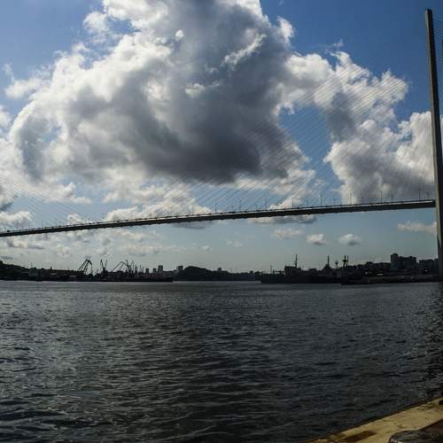 Photo #6821044