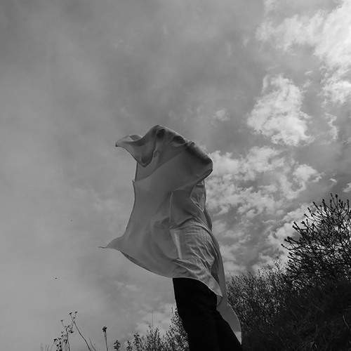 Photo #6821083